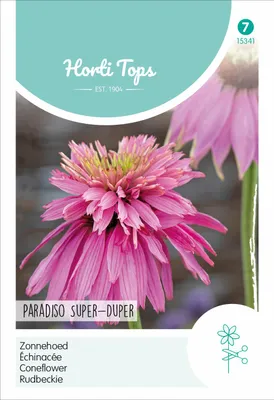Artikelbild 2 von 'Echinacea Paradiso Super-Duper' aus der Kategorie Sonnenhutsamen