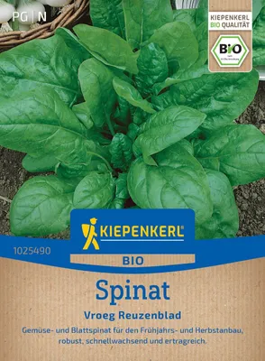Artikelbild 2 von 'BIO Spinat Vroeg Reuzenblad' aus der Kategorie Spinatsamen