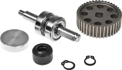 Produktbild von Wasserpumpen Satz Kit Polini Evolution für Piaggio 50