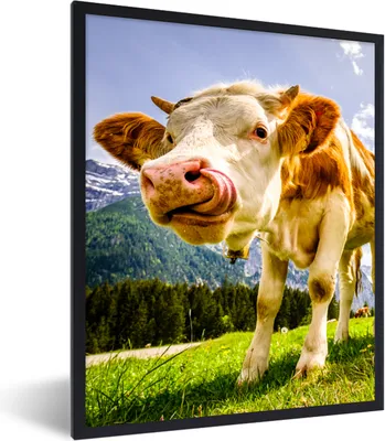 Produktbild von MuchoWow® Gerahmtes Poster Kühe - Berge - Gras - Landschaft - Alpen 60x80 cm - Poster mit Schwarzem Bilderrahmen Wandposter Rahmen Foto Bilder - Premium - Wanddeko Wohnzimmer