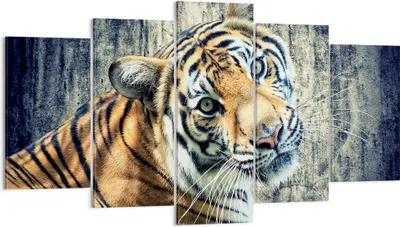 Produktbild von Bild auf Leinwand - Leinwandbild - Indien stein tiger wild - 160x85cm - Wand Bild - Wanddeko - Leinwanddruck - Bilder - Kunstdruck - Wanddekoration - Leinwand bilder - Wandkunst - EA160x85-2464
