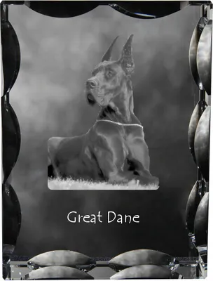 Immagine prodotto di Art-Dog Cornice portafoto – Alano I