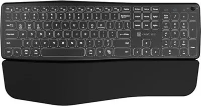 Produktbild von NATEC PORIFERA Klávesnice Bluetooth QWERTY pro domácnost a kancelář American International Black