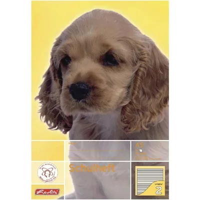 Produktbild von Herlitz 3320207, Mehrfarbig, 16 Blätter, Liniertes Papier, A5, 80 g/m², Papier