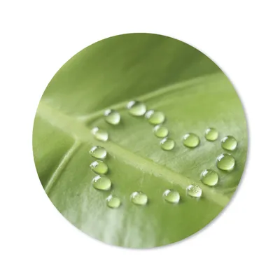 Produktbild von MuchoWow® Mauspad Mousepad Foto eines botanischen Blattes mit Wassertropfen in Form eines Herzens 20x20 cm - Mousepads - Maus Mat - Pad - Mausunterlage - Schreibtischmatte