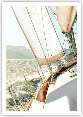 Produktbild von Poster - Poster ohne Rahmen - Yacht Segeln So - 70x100 cm - Wand Bild - Wanddeko - Wandbilder - Kunstposter - Wandposter - Bilder - Kunstdruck - Wanddekoration - Wandbild - P2XPA70x100-4847