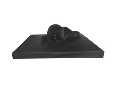 Productafbeelding van Gezondheidsmatras Leatherlook Bruin M - 80 x 55 cm - Luxe Hondenmatras Hondenbed Hondenkussen Hondenbed
