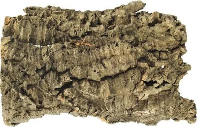Produktbild von Kork Platten 15 - 25 cm