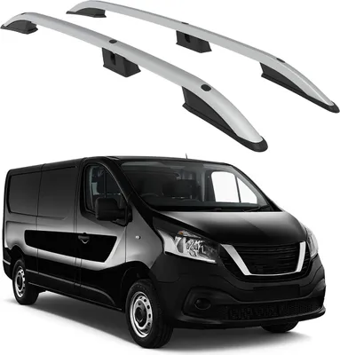 Immagine prodotto di TETTO TURTOLO  NISSAN NV300 X82 2016 2017 2018 2019 2020 2021 2022 2023 2024 (LWB) , Argento