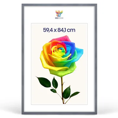 Produktbild von MG Design Bilderrahmen Grau A1 59,4x84,1 cm - Posterrahmen Echtholz mit Acrylglas, stabile Wandaufhängung, hoch/quer