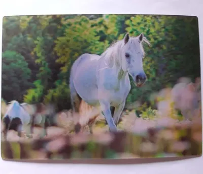 Produktbild von 3 D Ansichtskarte weißes Pferd, Pferde Postkarte Wackelkarte Hologrammkarte, Tier Pony