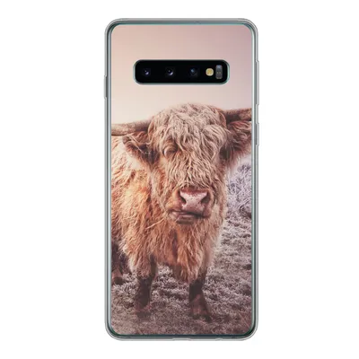 Produktbild von MuchoWow® Handyhülle Schutzhülle Hülle für Samsung Galaxy S10 Schottische Hochlandbewohner - Licht - Himmel - Natur Silikon Softcase Handy Hülle - Handytasche