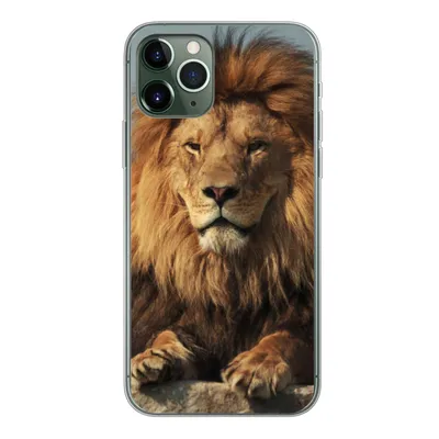 Produktbild von MuchoWow® Handyhülle Schutzhülle Hülle für iPhone 11 Pro Löwe - Felsen - Porträt Silikon Softcase Handy Hülle - Handy