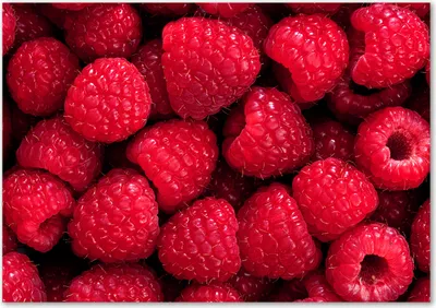 Produktbild von Tulup® Glas-Bild - 100 x 70 - Wandbild aus Glas - Wandkunst - Wandbild hinter gehärtetem Sicherheitsglas - Essen & Getränke - Himbeeren - Rot