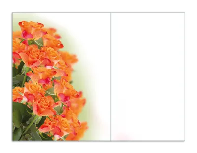 Produktbild von Wallario Herdabdeckplatte aus Glas, Größe 70 x 52 cm 2-teilig, Motiv Orangene Rosenblüten im Strauß