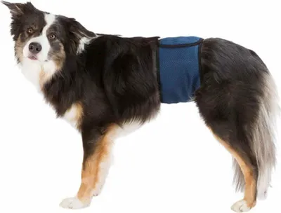Obrázek produktu pro Trixie Břišní pás na podložky pro psa samce, tmavě modrý Velikost: XL: pas: 65-75 cm