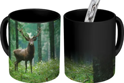 Obrázok produktu pre MuchoWow® Magický pohár Jeleň - Les - Stromy - Zvieratá - Príroda 350 ml Pohár na zmenu farby Darček Nápad na darček - Foto hrnček