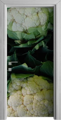 Produktbild von Tür Selbstklebende 90x210 cm Türfolie Türtapete Klebefolie - Blumenkohlblüten Gemüse