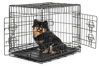 Image de Transporteur pour animaux pour chiens et chats, M 61x44x51 cm