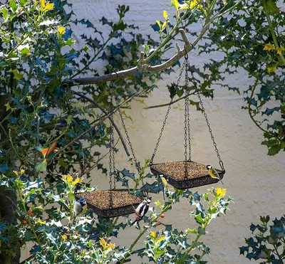 Produktbild von Hängendes Futterstation für Wildvögel - Wetterbeständig - Edelstahl