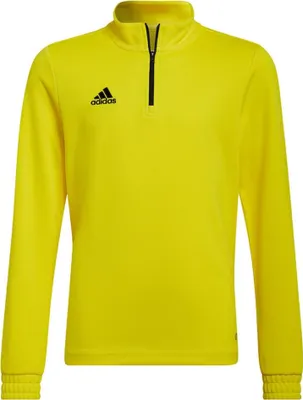 Obrázek produktu pro Mikiny Adidas Entrada 22 Training B20520