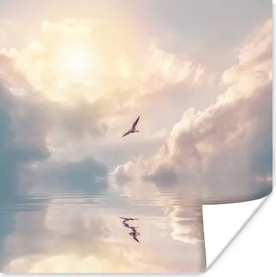Produktbild von MuchoWow® Poster Vogel - Meer - Sonne 100x100 cm - Babyzimmer