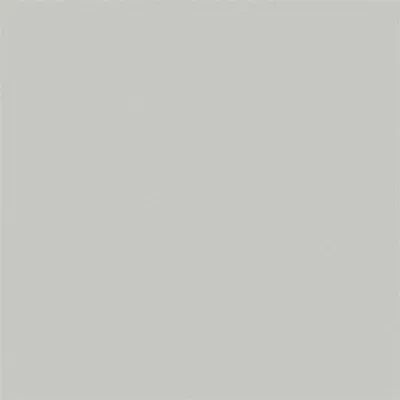 Immagine prodotto di Verniciato grigio chiaro RAL 7035 WILCKENS GRANIT Secchio da 10 l