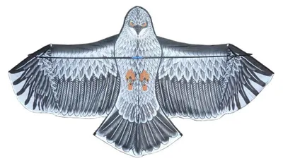 Produktbild von Aigle Abschreckschirm Drachen 1,80 m
