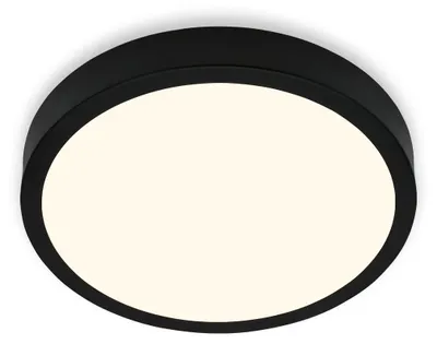 Obrázek produktu pro LED stropní světlo dílenské světlo pro povrchovou montáž 4000K 16W Ø28cm černá Briloner