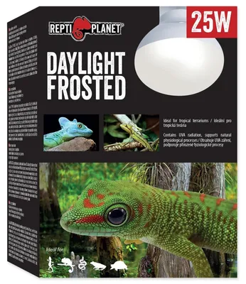 Immagine prodotto di Žárovka Luce diurna smerigliata 25 W