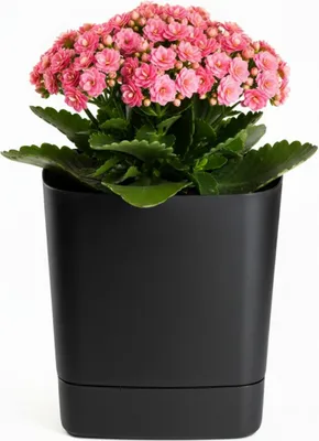 Image de HowHomely | Pot de fleurs avec soucoupe - Cache-pot - noir - 19 x 19 cm - en matériau recyclé - Pratique - Jardinière