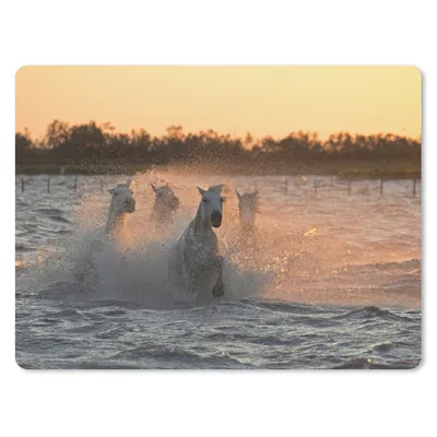 Produktbild von MuchoWow® Mauspad Mousepad Pferde galoppieren durch tiefes Wasser in der Camargue 40x30 cm - Mousepads - Maus Mat - Pad - Mausunterlage - Anti Rutsch
