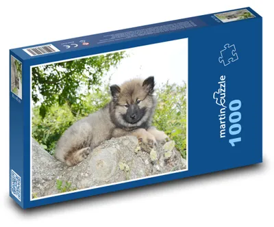 Obrázok produktu pre Puzzle 1000 Eurasier šteniatko na strome - martinpuzzle