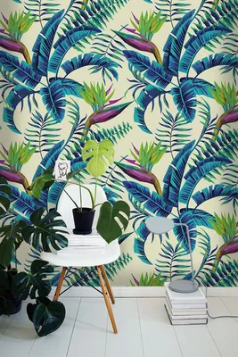 Produktbild von Coloray Fototapete 250x104 cm Vlies-Fototapete - exotisch