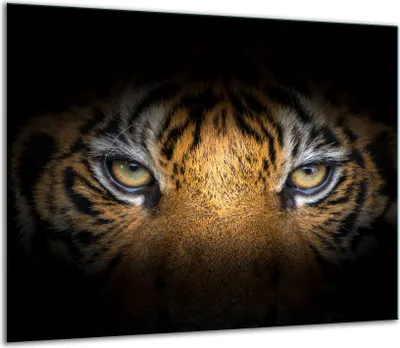 Produktbild von Herdabdeckplatten Glaskeramikkochfeld-Abdeckung Spritzschutz Glas 60x52cm Tiger Schwarz