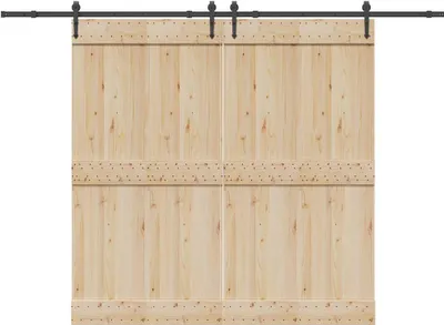 Immagine prodotto di Kit di Binari per Porte Scorrevoli 305 cm Acciaio Nero