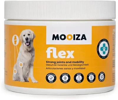Gelenkschutz für Hunde – Nahrungsergänzung mit Glucosamin & Chondroitin