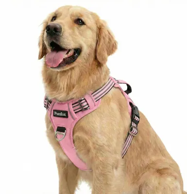 Imagen del producto de Arnés para perros de tamaño mediano, antilanzamiento
