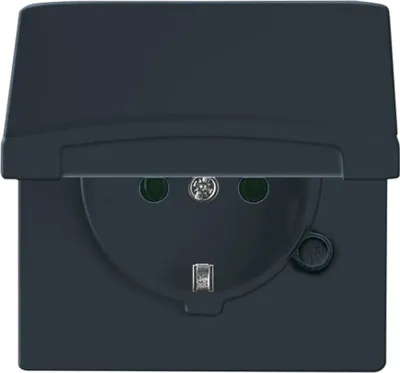 A dark gray electrical outlet with a flip-up cover.