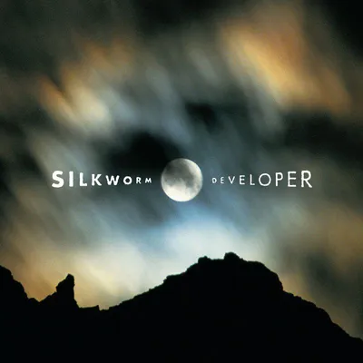 Produktbild von Silkworm: Silkworm: Developer - Bertus Musikvertrieb  - (LP / D)