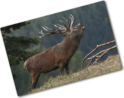 Produktbild von Tulup Glas Herdabdeckplatte - 80x52 cm - Glaskeramikkochfeld-Abdeckung Spritzschutz Glasabdeckplatte - Einteilig - Tiere - Hirsch auf dem Hügel - Braun