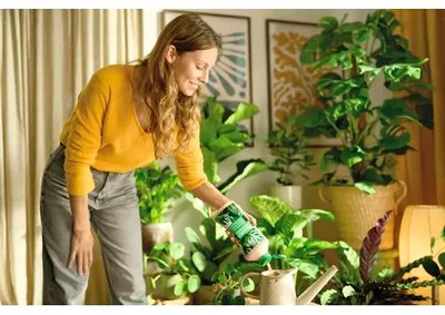 Produktbild von Zimmerpflanzendünger manna Plantiful 250 g für max. 250 L Gießwasser