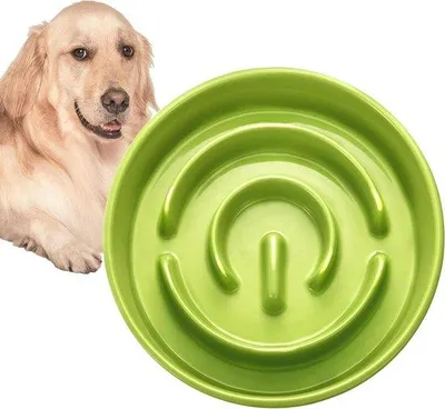 Immagine prodotto di Stazione di alimentazione lenta per cani - Vetroceramica - Ø 21 cm 1000 ml - verde lime