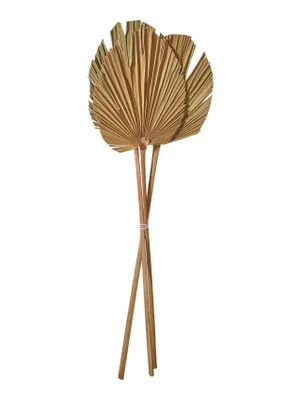 Produktbild von ASA Selection Palmspeer, natur Natur 66505444