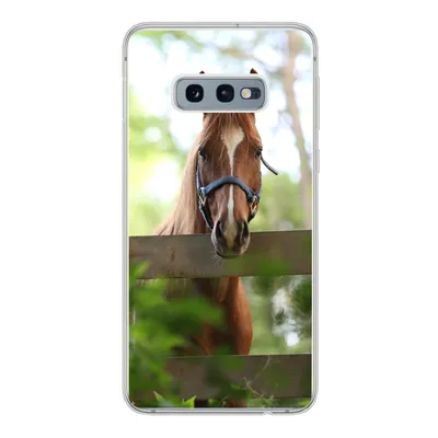 Produktbild von MuchoWow® Handyhülle Schutzhülle Hülle für Samsung Galaxy S10e Pferd - Natur - Zaun Silikon Softcase Handy Hülle - Handy