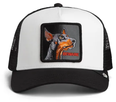 Produktbild von Goorin Bros.  Trucker Cap Dust / Void