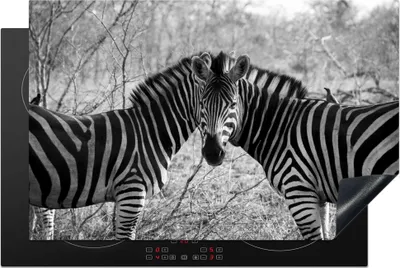 Produktbild von KitchenYeah© Herdabdeckplatte Zwei Zebras , 80x52cm, Küche Deko, Glaskeramikkochfeld Herdabdeckung, Abdeckplatte fùr Kochfeld