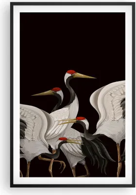 Produktbild von Gerahmtes Poster - Schwarzer Rahmen - Kraniche Vögel Grafiken - 61x91,5 cm - Wand Bild - Wanddeko - Wandbilder - Kunstposter - Wandposter - Bilderrahmen - Bilder - Kunstdruck - P2BPA61x91-4748