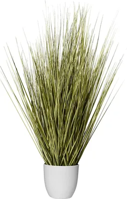 Image de VIVANNO Plante artificielle en plastique JUNCO Organique, vert naturel - 50 x 80 cm