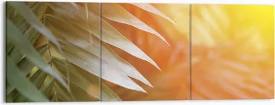 Produktbild von Bild auf Leinwand - Leinwandbild - 3 Teile - Exotisch Blätter Dämmerung - 150x50cm - Wand Bild - Wanddeko - Wandbilder - Leinwanddruck - Bilder - Wanddekoration - Leinwand bilder - CA150x50-4807